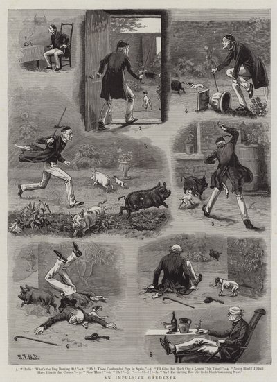 An Impulsive Gardener by S.T. Dadd